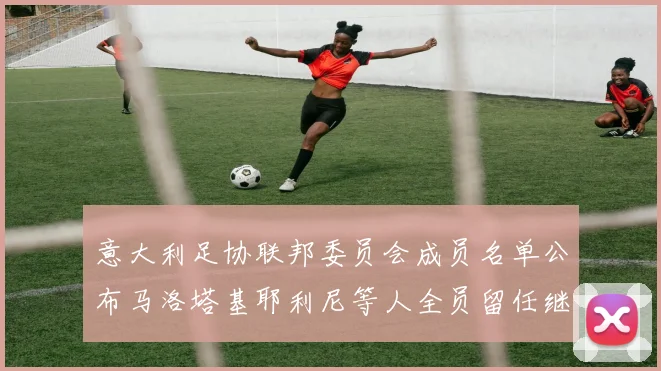 意大利足协联邦委员会成员名单公布马洛塔基耶利尼等人全员留任继续服务