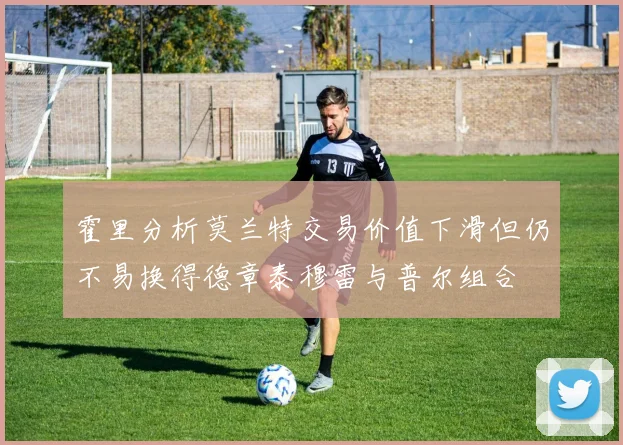 霍里分析莫兰特交易价值下滑但仍不易换得德章泰穆雷与普尔组合